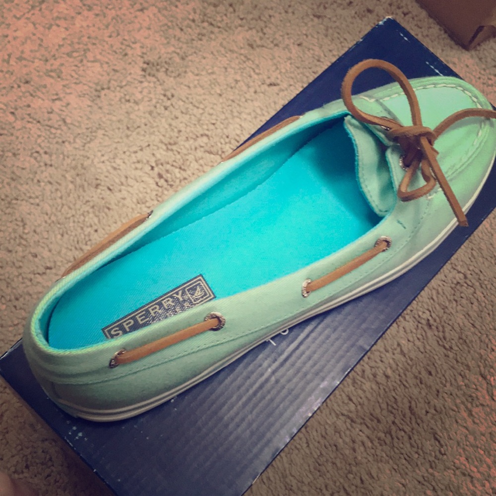 Sperry Top Spider